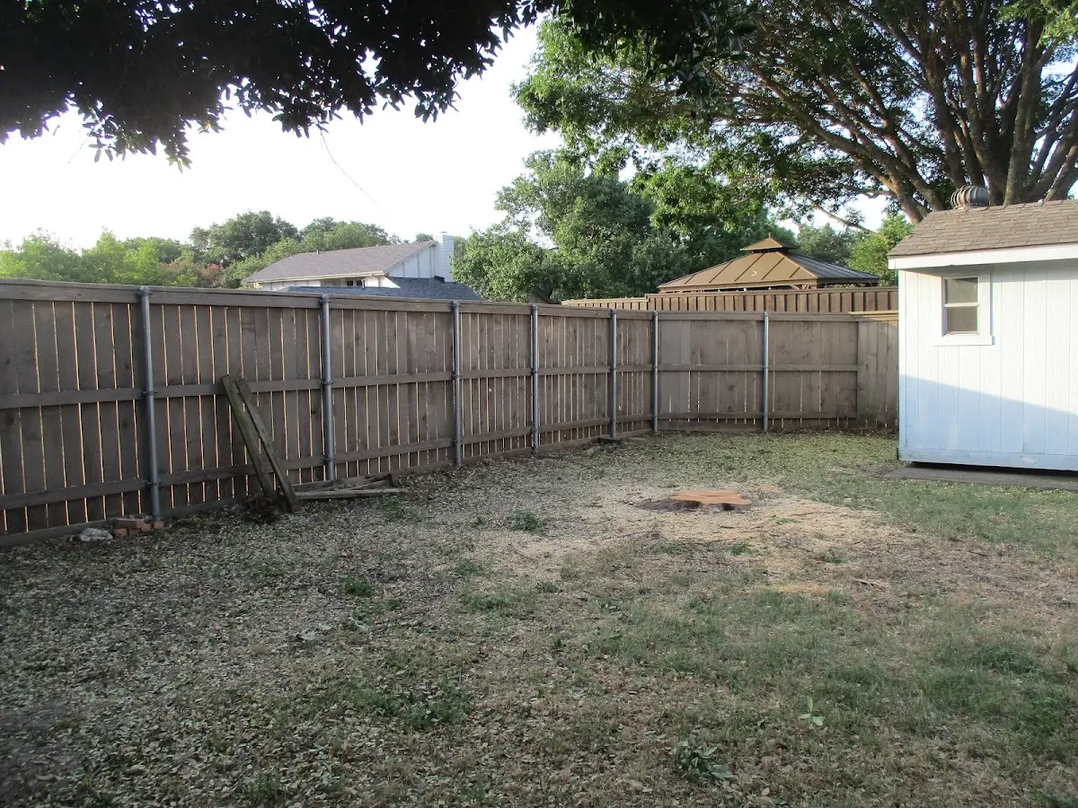 Cleared yard after professional tree removal in Wyano